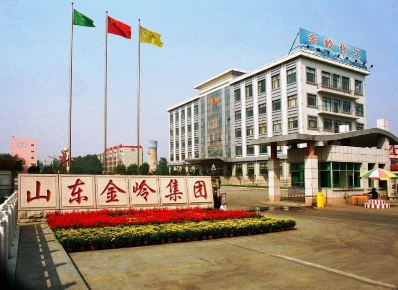 客戶案例：新銳科創智能化二道門為金嶺化工安全管理護航